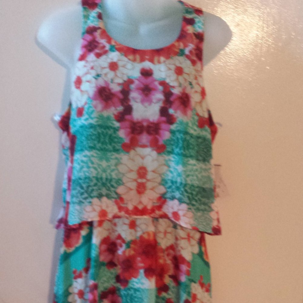 Bisou Bisou Floral Assymetrical dress 6